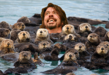 Dave Grohl aconseja a las bandas emergentes