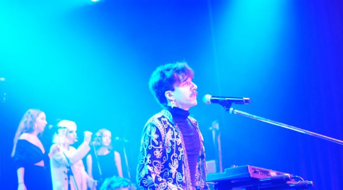 Gativideo: el encanto de lo absurdo